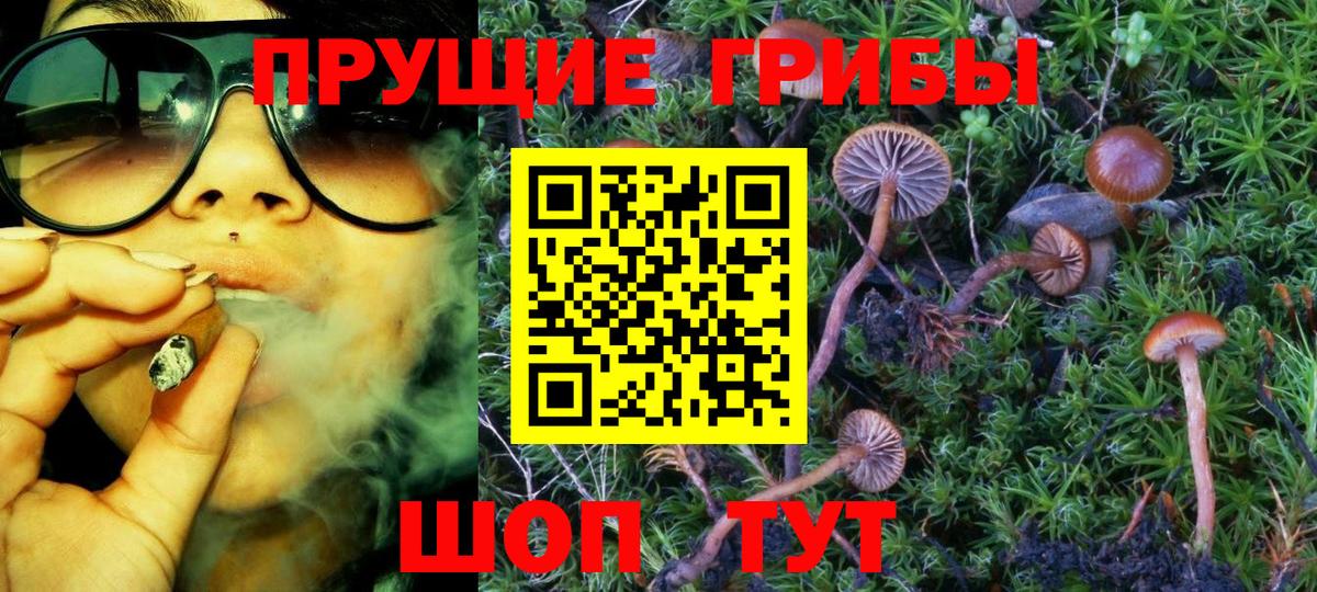 Якутск  цена   Вход с VPN  Галлюциногенные грибы Psilocybe  Галлюциногенные грибы Psilocybine cubensis 